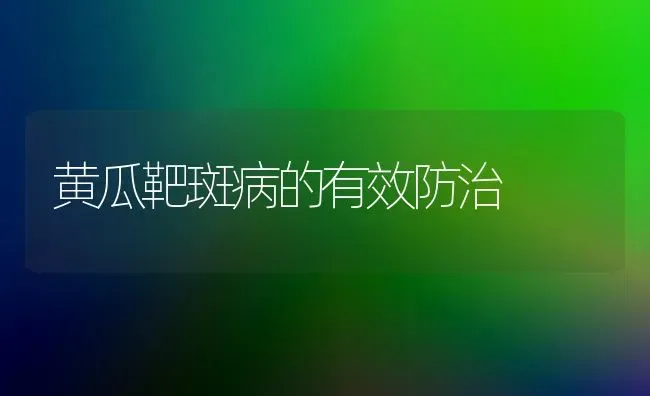 黄瓜靶斑病的有效防治 | 蔬菜种植