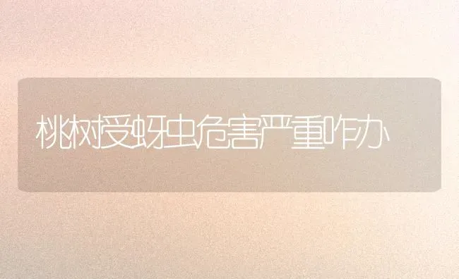 桃树受蚜虫危害严重咋办 | 瓜果种植