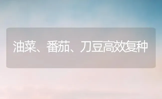 油菜、番茄、刀豆高效复种 | 粮油作物种植