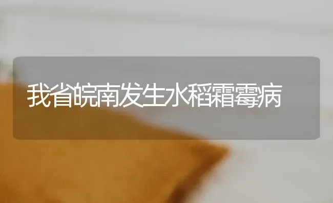 我省皖南发生水稻霜霉病 | 粮油作物种植