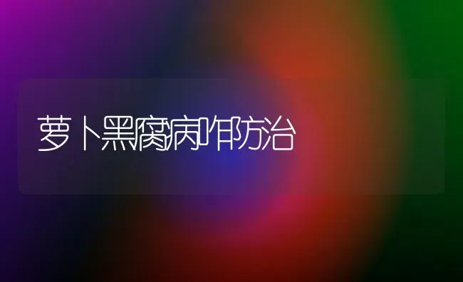 萝卜黑腐病咋防治 | 蔬菜种植