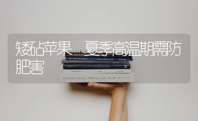 矮砧苹果 夏季高温期需防肥害 | 瓜果种植