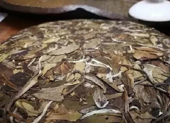 叶子|茶饼保质期一般多久时间（普洱、福鼎老白茶能保存多久）