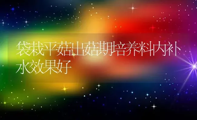 袋栽平菇出菇期培养料内补水效果好 | 瓜果种植