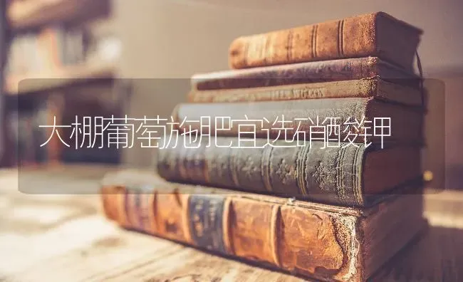 大棚葡萄施肥宜选硝酸钾 | 种植肥料施肥