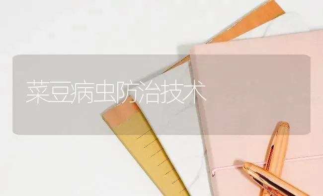 菜豆病虫防治技术 | 蔬菜种植