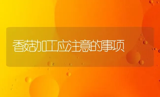 香菇加工应注意的事项 | 食用菌种植