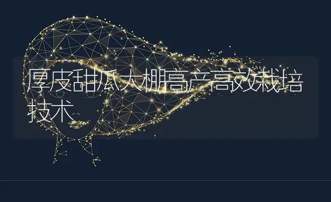 厚皮甜瓜大棚高产高效栽培技术 | 瓜果种植