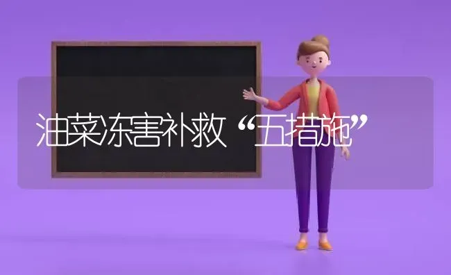 油菜冻害补救“五措施” | 粮油作物种植