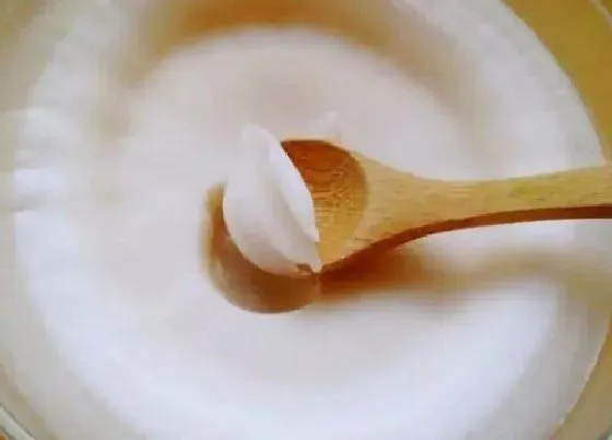 植物施肥|猪油可以做肥料吗