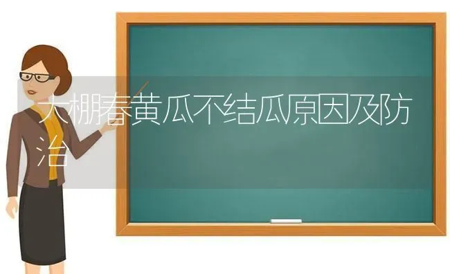 大棚春黄瓜不结瓜原因及防治 | 蔬菜种植