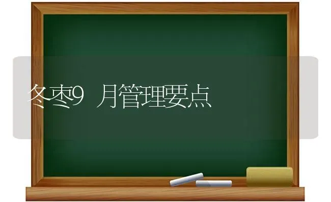 冬枣9月管理要点 | 瓜果种植