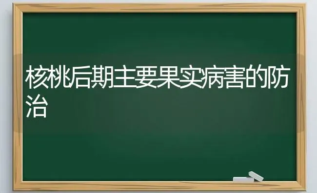 核桃后期主要果实病害的防治 | 瓜果种植