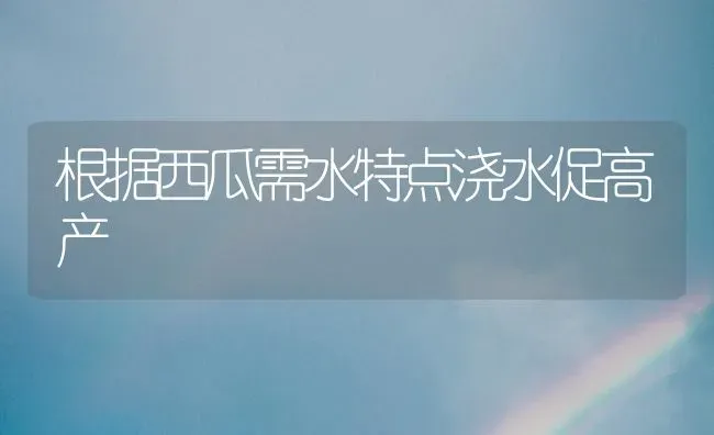 根据西瓜需水特点浇水促高产 | 瓜果种植