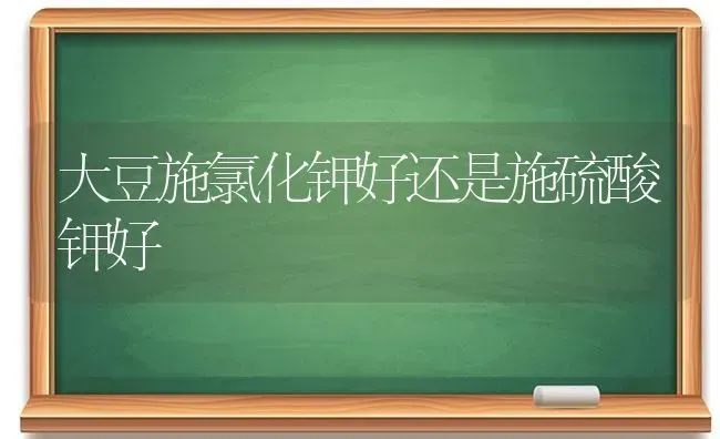 大豆施氯化钾好还是施硫酸钾好 | 粮油作物种植