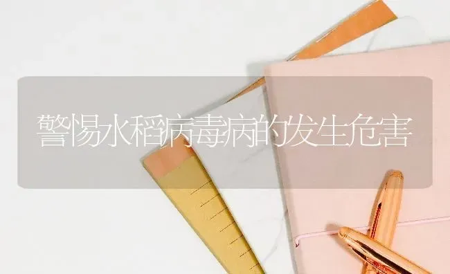 警惕水稻病毒病的发生危害 | 粮油作物种植