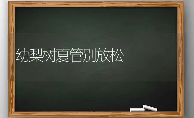 幼梨树夏管别放松 | 瓜果种植