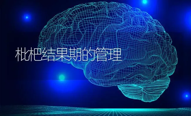枇杷结果期的管理 | 瓜果种植