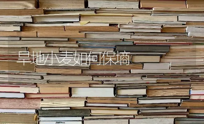 旱地小麦如何保墒 | 粮油作物种植