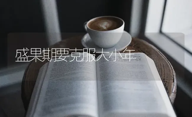 盛果期要克服大小年 | 瓜果种植