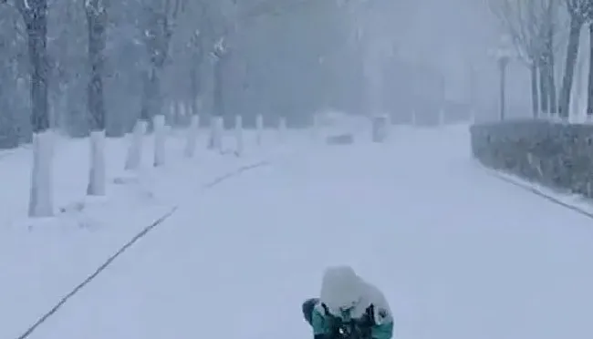 冬天植物|全国多地迎来降雪天气 内蒙古强降雪致积雪堵住半边门