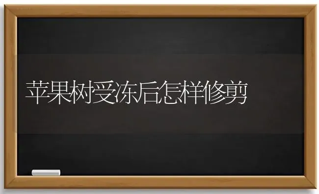 苹果树受冻后怎样修剪 | 瓜果种植