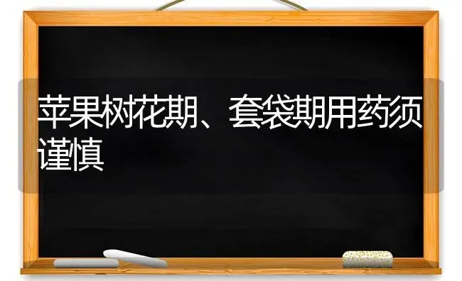 苹果树花期、套袋期用药须谨慎 | 瓜果种植