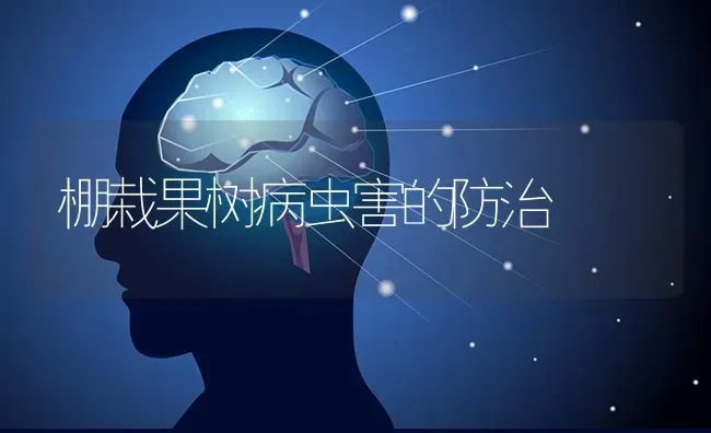 棚栽果树病虫害的防治 | 瓜果种植