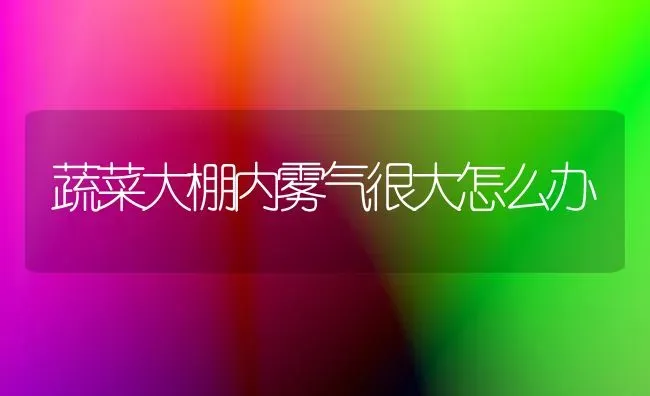 蔬菜大棚内雾气很大怎么办 | 蔬菜种植