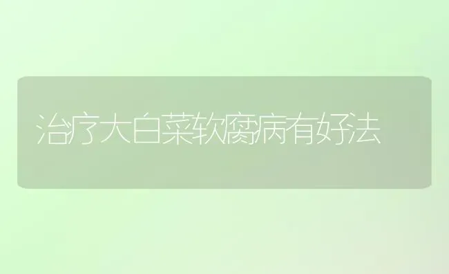 治疗大白菜软腐病有好法 | 蔬菜种植