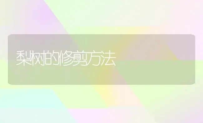 梨树的修剪方法 | 瓜果种植