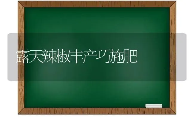 露天辣椒丰产巧施肥 | 种植肥料施肥