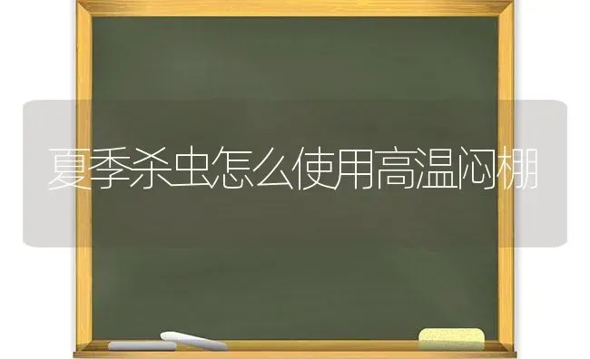 辣椒结果不断茬 抓好这两点 | 瓜果种植