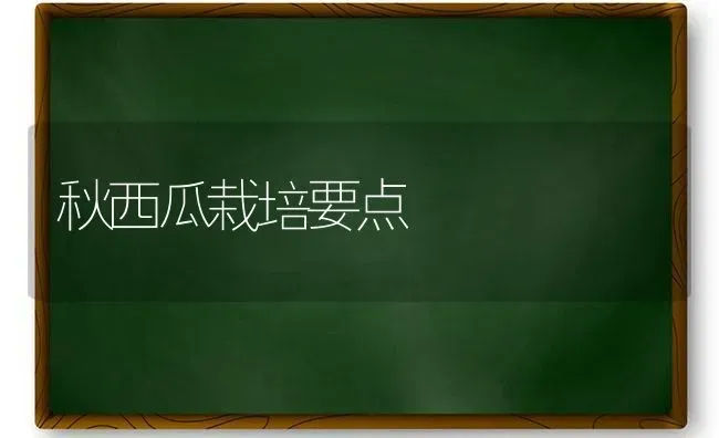 秋西瓜栽培要点 | 瓜果种植