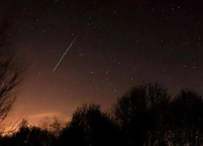 植物百科|2021最后一场大流星雨几点 下一次流星雨什么时候出现