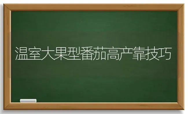 温室大果型番茄高产靠技巧 | 瓜果种植