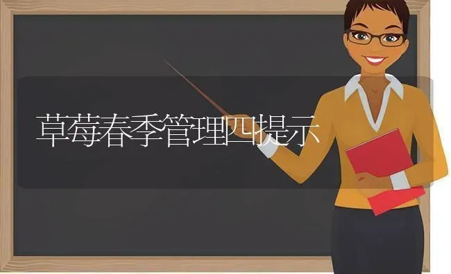 草莓春季管理四提示 | 瓜果种植
