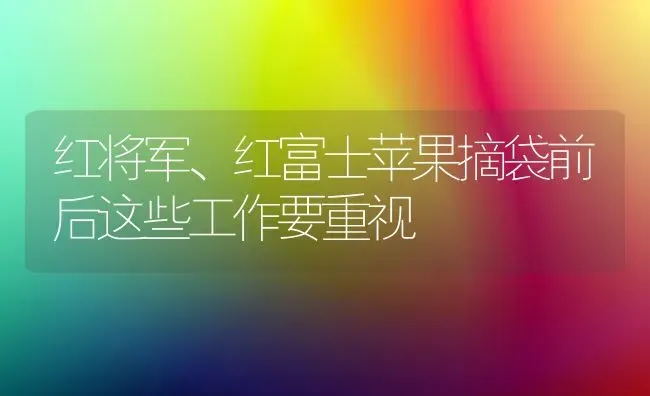 红将军、红富士苹果摘袋前后这些工作要重视 | 瓜果种植
