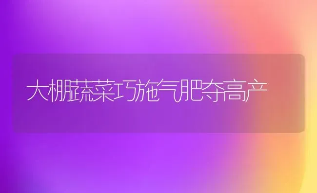 大棚蔬菜巧施气肥夺高产 | 蔬菜种植