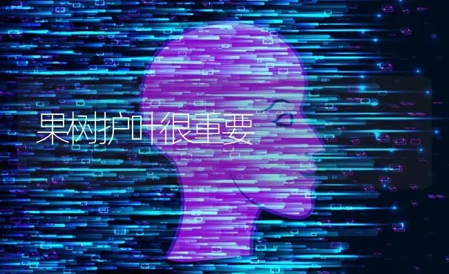 果树护叶很重要 | 瓜果种植