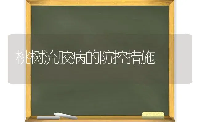 桃树流胶病的防控措施 | 瓜果种植