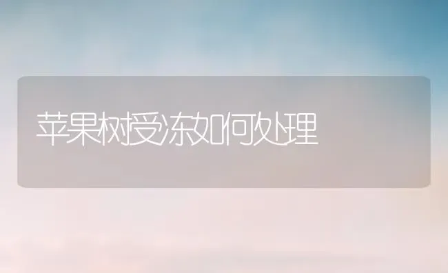 苹果树受冻如何处理 | 瓜果种植