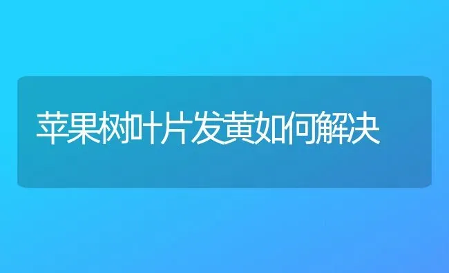 苹果树叶片发黄如何解决 | 瓜果种植