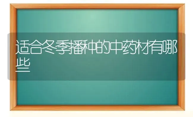 适合冬季播种的中药材有哪些 | 药材种植