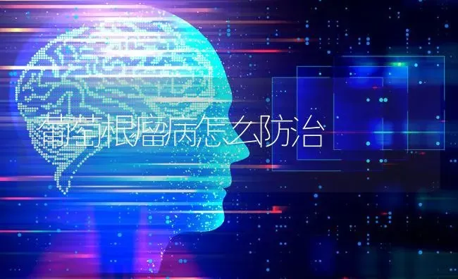 葡萄根瘤病怎么防治 | 瓜果种植