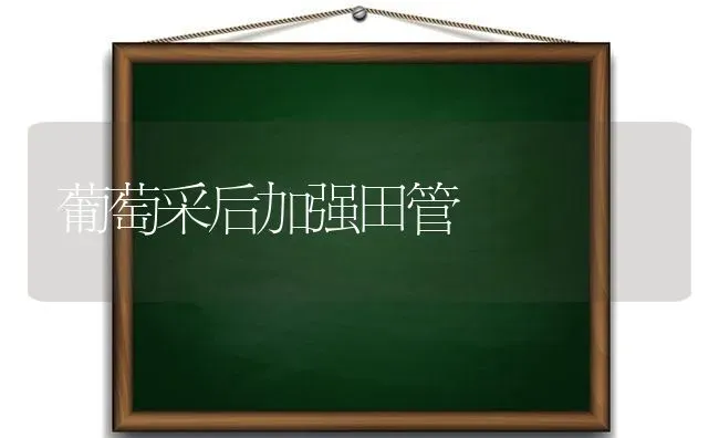 葡萄采后加强田管 | 瓜果种植