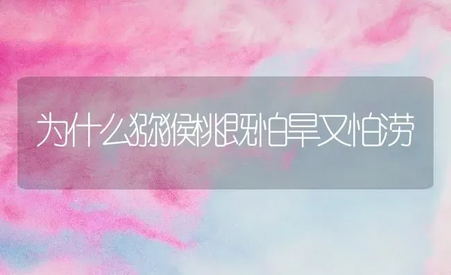 枣树春管干啥活儿 | 瓜果种植