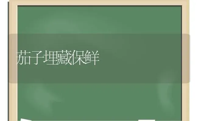 茄子埋藏保鲜 | 蔬菜种植