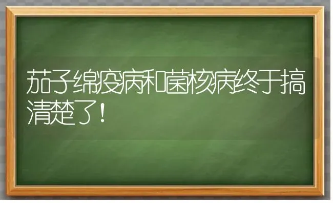 茄子绵疫病和菌核病终于搞清楚了！ | 蔬菜种植