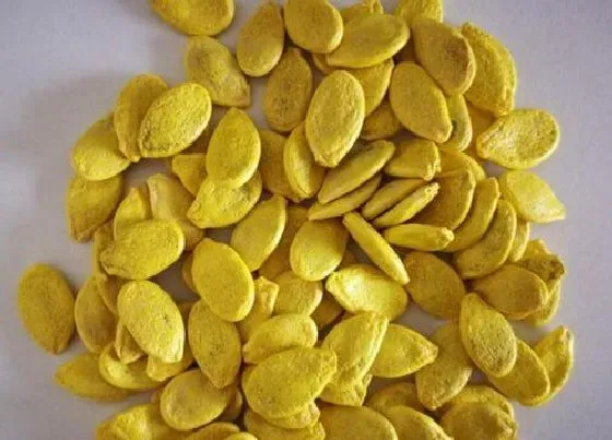 食用科普|板栗南瓜籽能吃吗